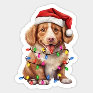 Christmas Dog Nova Scotia Duck Tolling Retriever Sticker